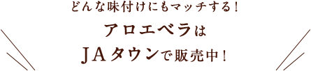 どんな味付けにもマッチする！ アロエベラはJAタウンで販売中！