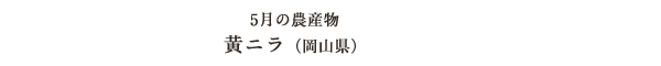 5月の農産物 黄ニラ（岡山県）