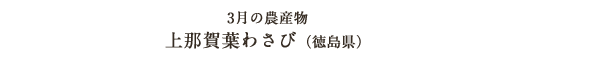 3月の農産物 上那賀葉わさび（徳島県）