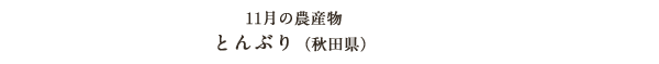 11月の農産物 とんぶり（秋田県）