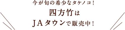 今が旬の希少なタケノコ！ 四方竹はJAタウンで販売中！