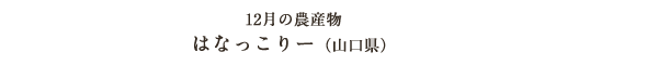 12月の農産物 はなっこりー（山口県）