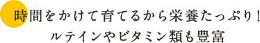 時間をかけて育てるから栄養たっぷり！ ルテインやビタミン類も豊富