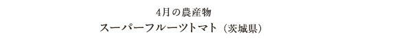 4月の農産物 スーパーフルーツトマト（茨城県）