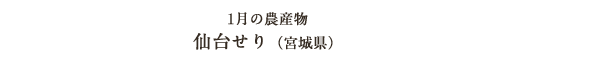 1月の農産物 仙台せり（宮城県）