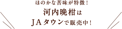 ほのかな苦味が特徴！河内晩柑はJAタウンで販売中！