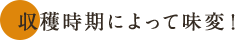 収穫時期によって味変！