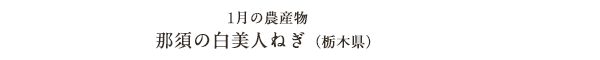1月の農産物 那須の白美人ねぎ（栃木県）