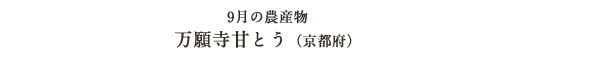 9月の農産物 万願寺甘とう（京都府）