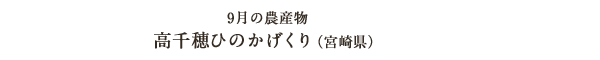 9月の農産物 高千穂ひのかげくり（宮崎県）