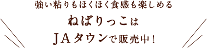 強い粘りもほくほく食感も楽しめるねばりっこはJAタウンで販売中！