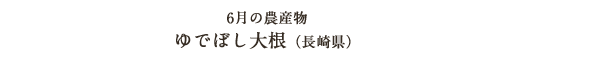 6月の農産物 ゆでぼし大根（長崎県）