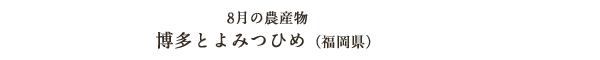 8月の農産物 博多とよみつひめ（福岡県）