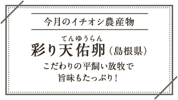 今月のイチオシ農産物 彩り天佑卵 てんゆうらん（島根県）こだわりの平飼い放牧で旨味もたっぷり！